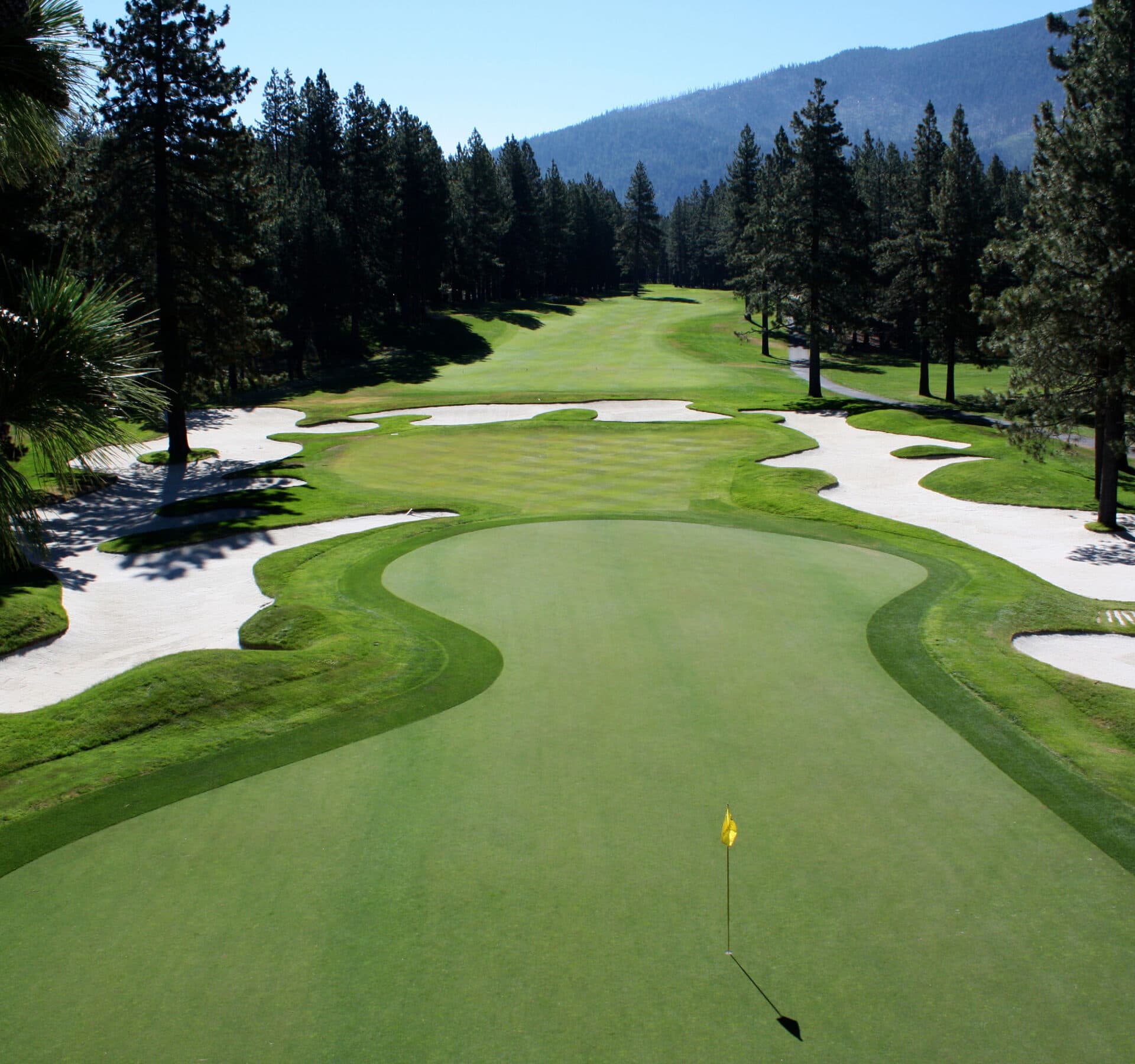 Edgewood Tahoe green with bunker complex and pine forest Edgewood Tahoe green with bunker complex and pine forest