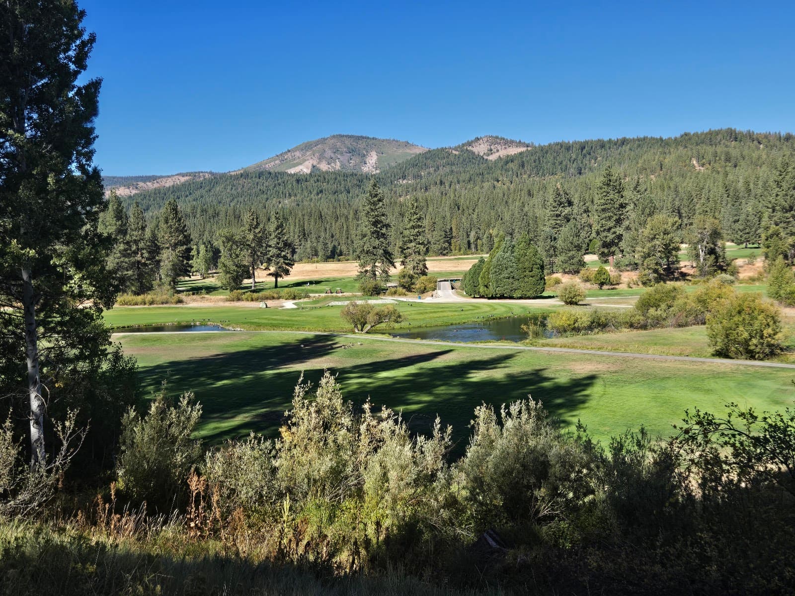 Graeagle Meadows Golf Course — course landscape Graeagle Meadows Golf Course — course landscape