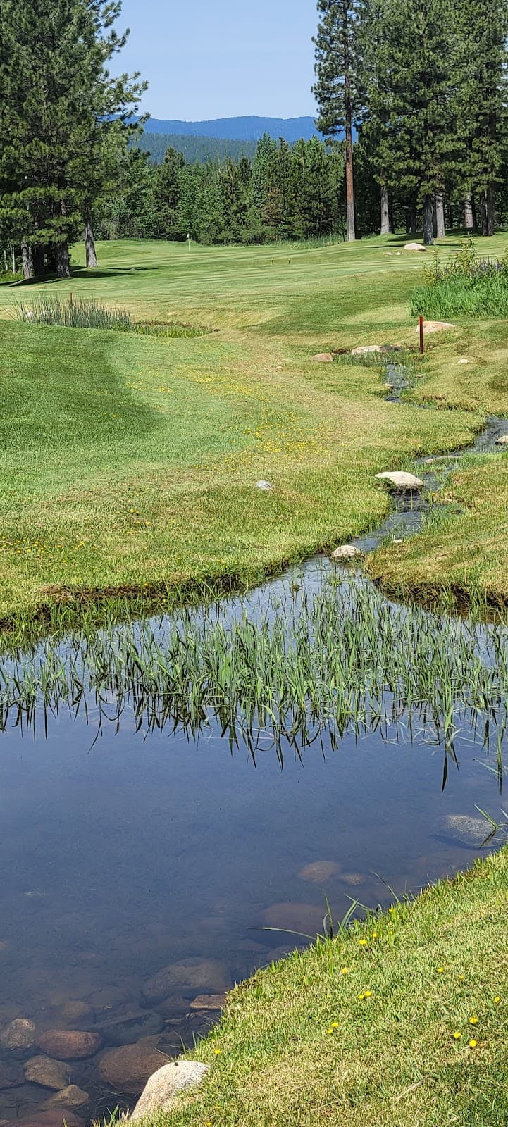 Grizzly Ranch Golf Club — course landscape Grizzly Ranch Golf Club — course landscape