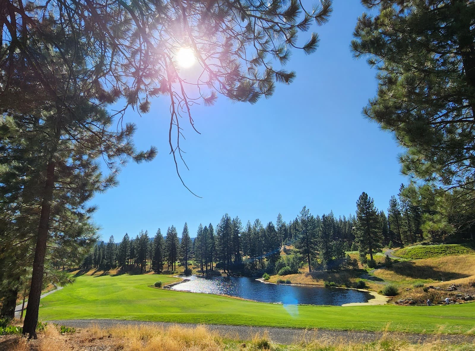 Grizzly Ranch Golf Club — hole overview Grizzly Ranch Golf Club — hole overview