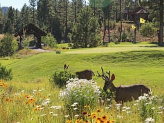 Grizzly Ranch Golf Club — course view Grizzly Ranch Golf Club — course view