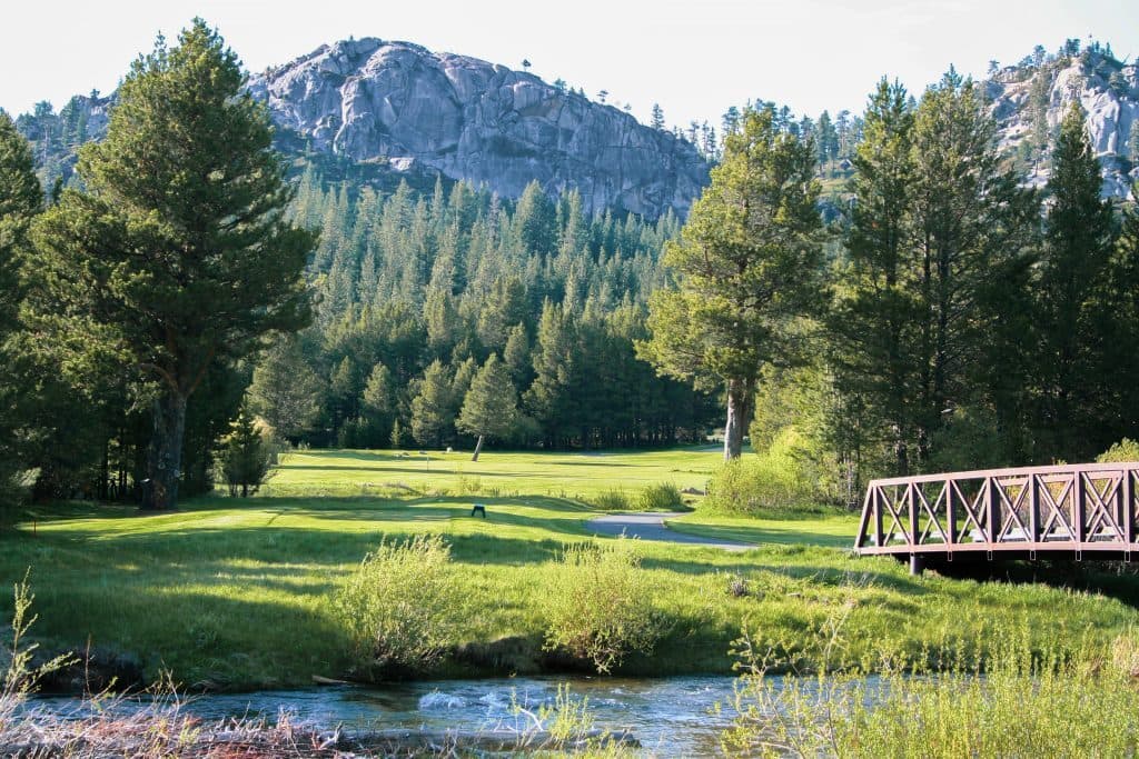 Hole 10 at Lake Tahoe Golf Course with green and pine forest Hole 10 at Lake Tahoe Golf Course with green and pine forest