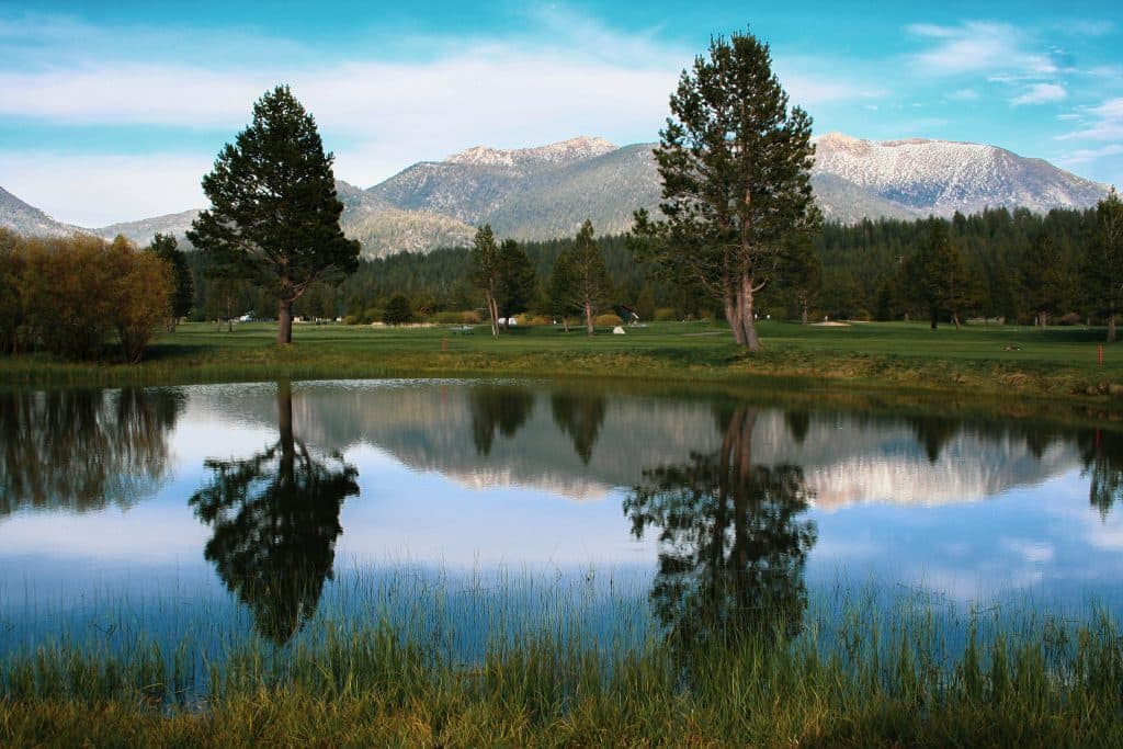 Pine-lined fairway at Lake Tahoe Golf Course with morning light Pine-lined fairway at Lake Tahoe Golf Course with morning light