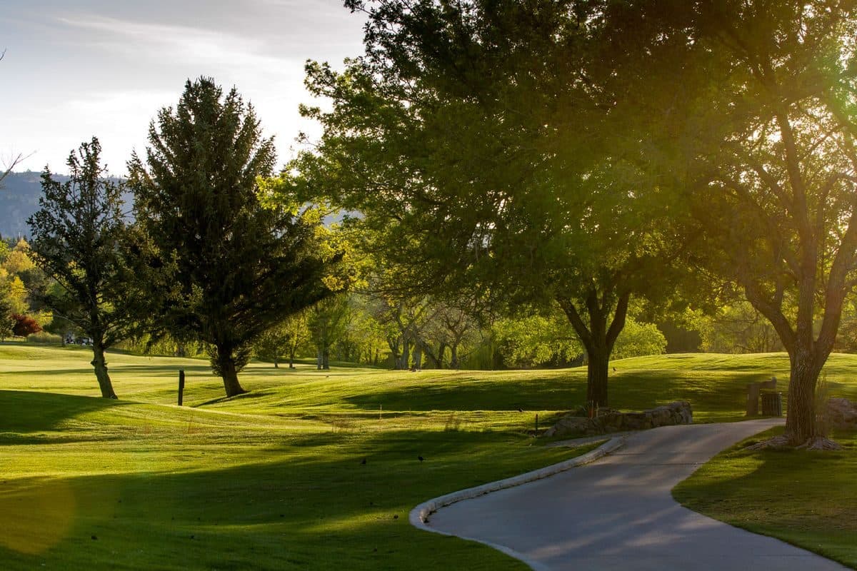 LakeRidge Golf Course tree-framed fairway with cart path curving through mature pines LakeRidge Golf Course tree-framed fairway with cart path curving through mature pines