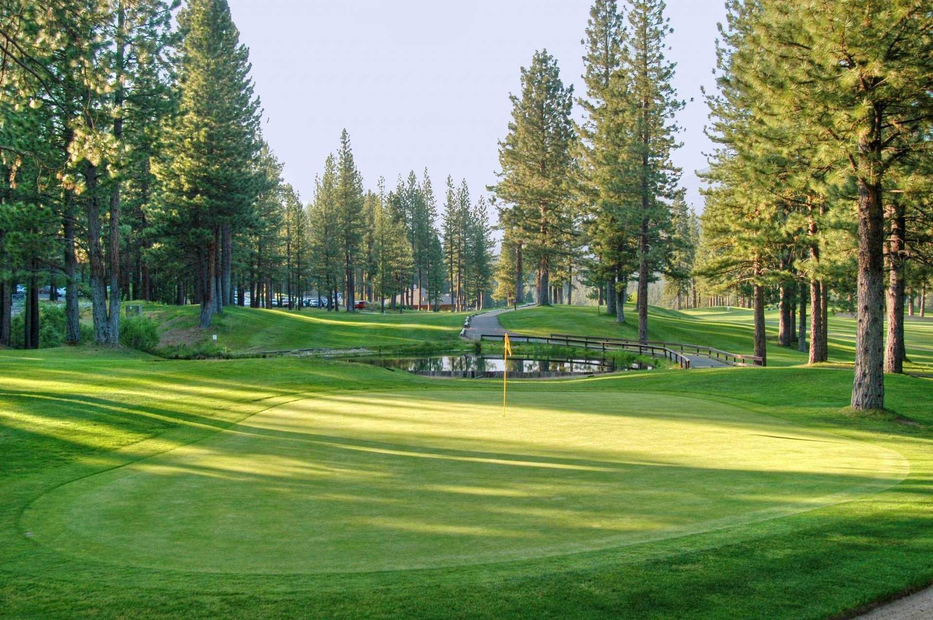 Plumas Pines