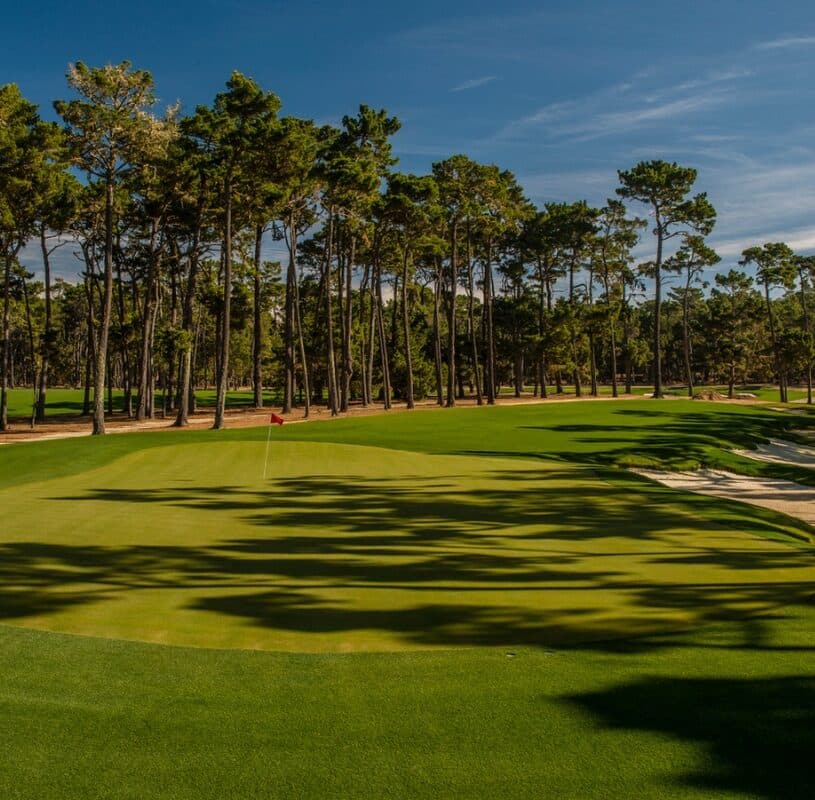 Hole 15 at Poppy Hills from ground level Hole 15 at Poppy Hills from ground level