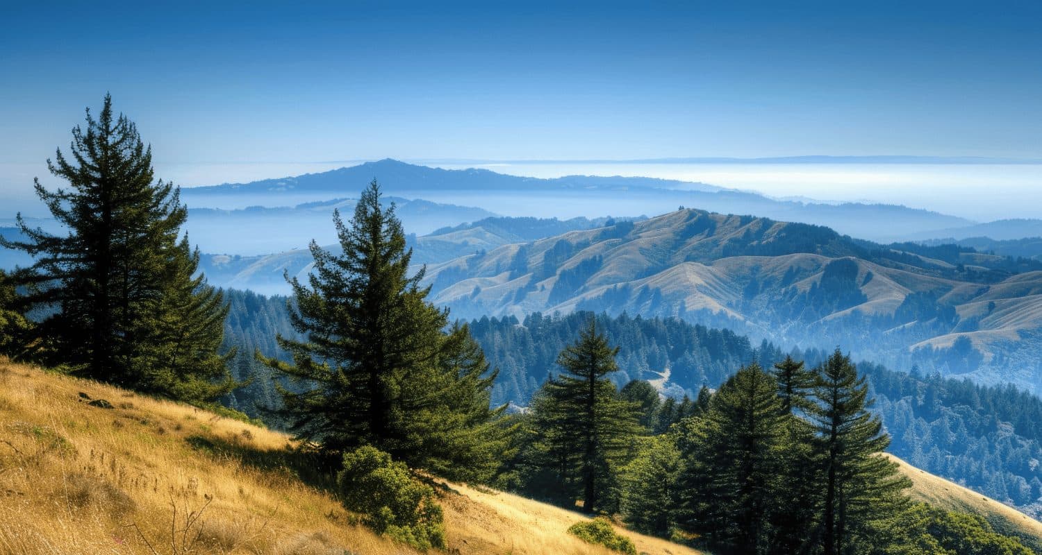 Townhomes at Plumas Pines Resort