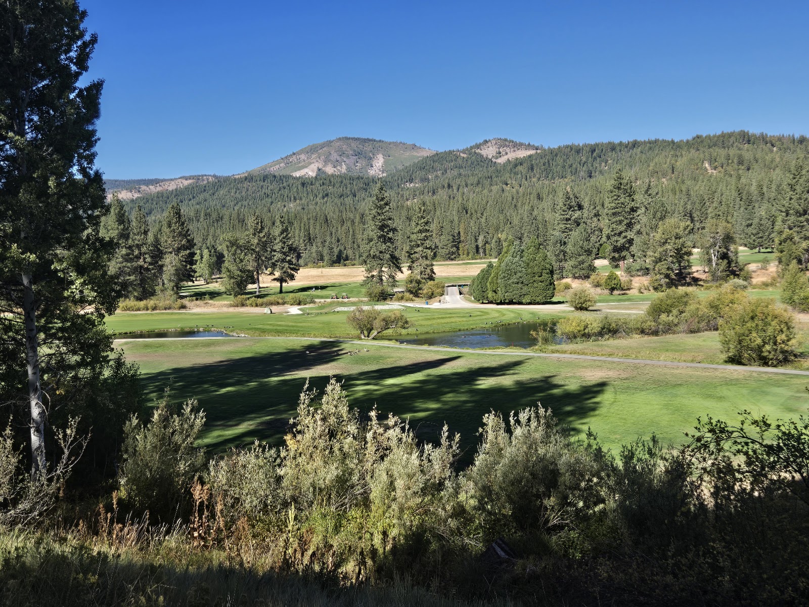 Graeagle Meadows Golf Course — course landscape Graeagle Meadows Golf Course — course landscape