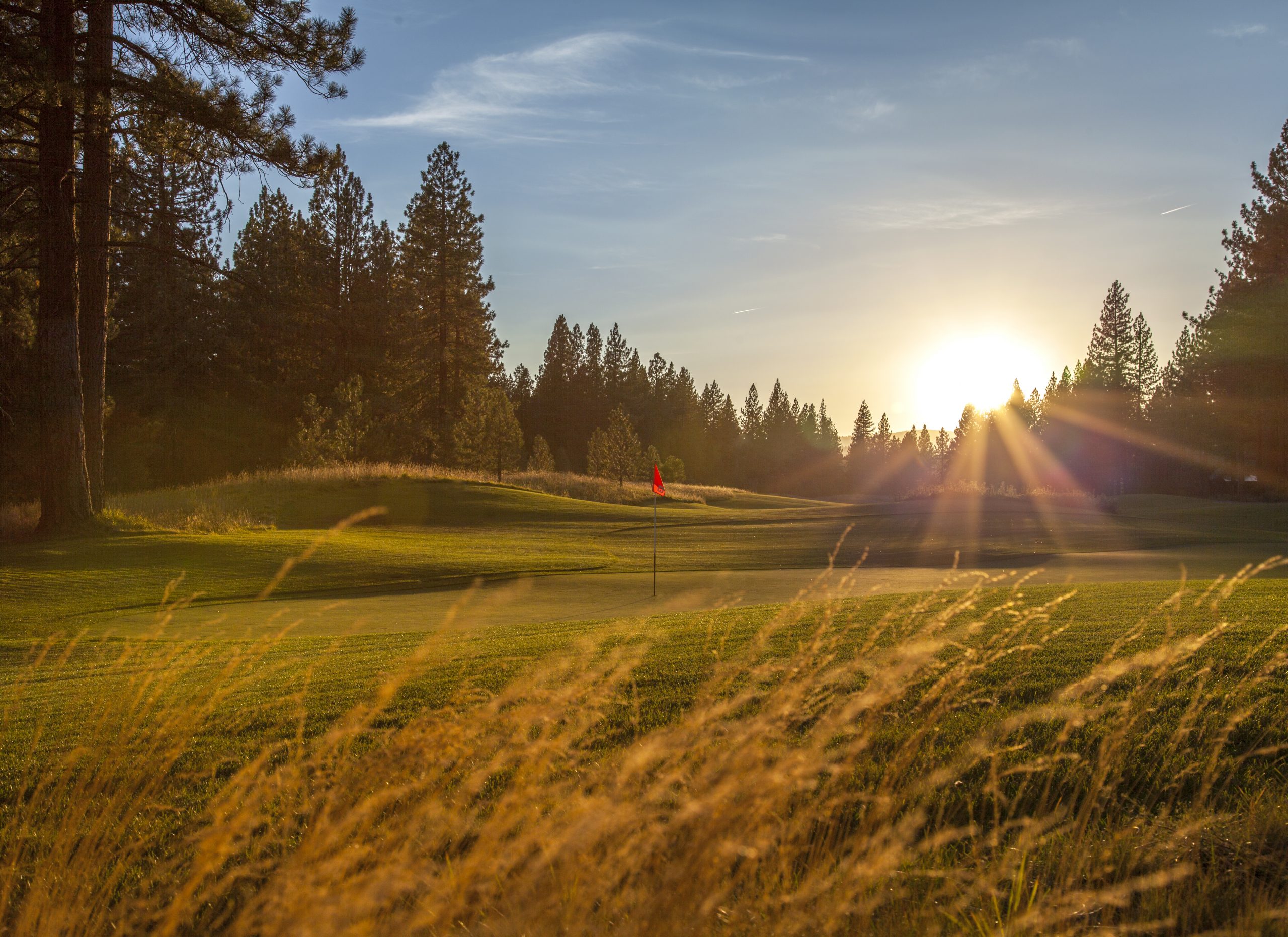 New Golf The High Sierra Website
